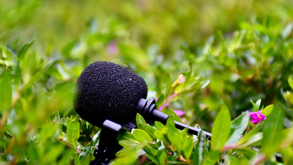 A microphone lying in the grass